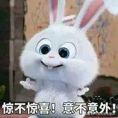 京东校园学生认证怎么解除不了，京东校园学生认证怎么取消？