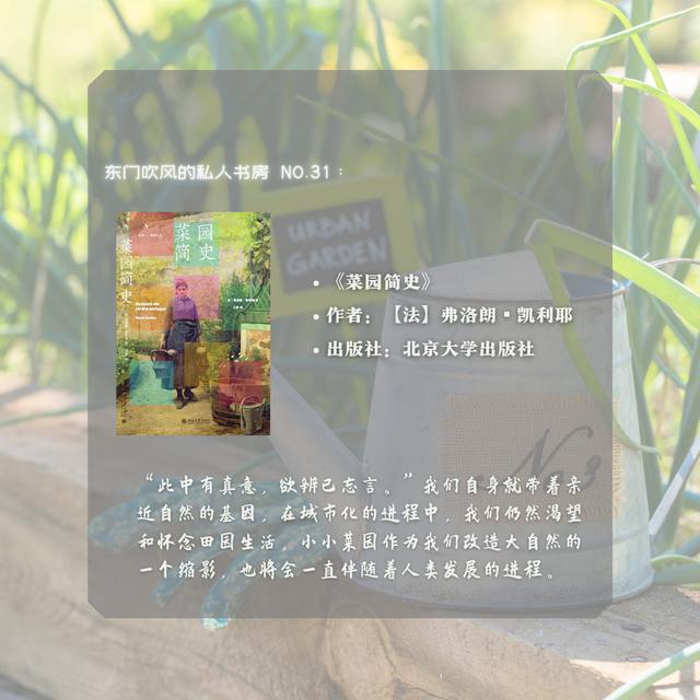 家庭小菜园，家庭小菜园设计实景图？
