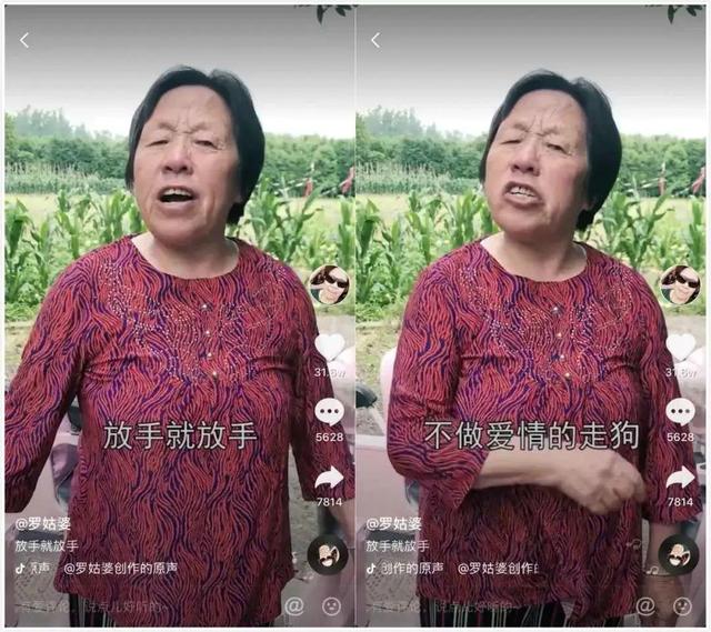 269抖音，抖音5266？"