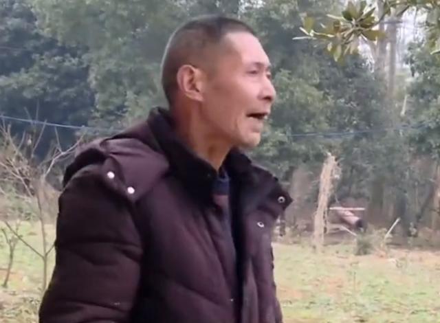 妻子在外当保姆赚钱，十年辛苦攒下一套房，丈夫却坚决要和她离婚